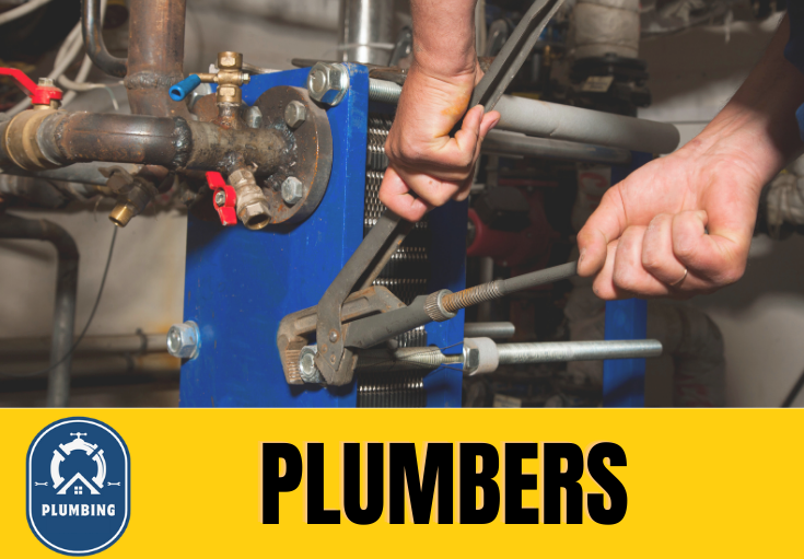  plumber Ford